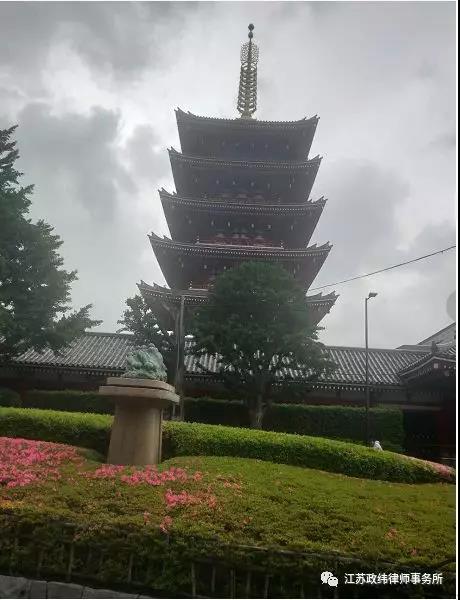 初夏之交、芝樱漫舞———江苏政纬律师事务所东瀛团建游记