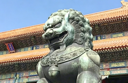 中 共 中央办公厅 国务院办公厅关于加强新就业群体服务管理的意见